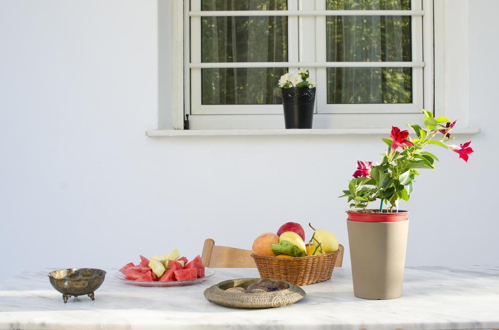 Garden House Palaio Faliro Athen Exterior foto